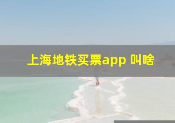 上海地铁买票app 叫啥